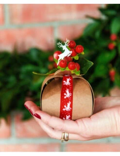 10 Ballotins Contenants à Dragées En Kraft -Déco Festive Soldes 10 ballotins contenants a dragees en kraft 2