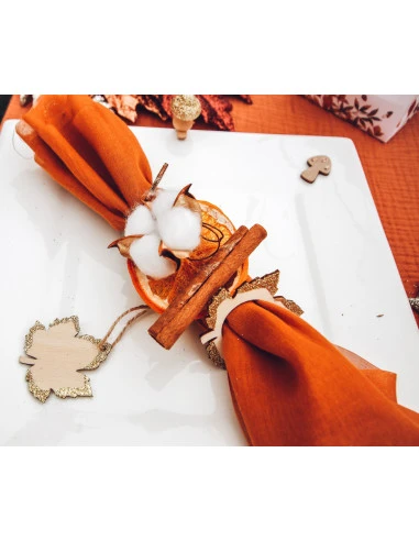 12 Fleurs De Coton Séchées 5 Cms 1 12 Fleurs De Coton Séchées 5 Cms