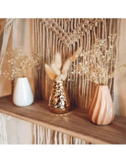 12 Mini Branches De Chatons Séchés 8 Cm -Déco Festive Soldes 12 mini branches de chatons seches 8 cm 3