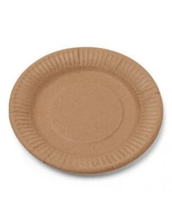 12 Petites Assiettes Kraft 18 Cms