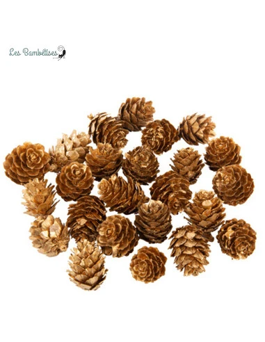 24 Petites Pommes De Pin Or Mat 1 24 Petites Pommes De Pin Or Mat