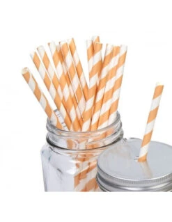 25 Pailles En Papier Rayures Pêche Blanches