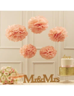 5 Pompons En Papier De Soie Rose Pastel