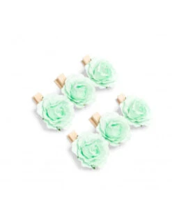 6 Mini Pinces En Bois Roses Vert Menthe
