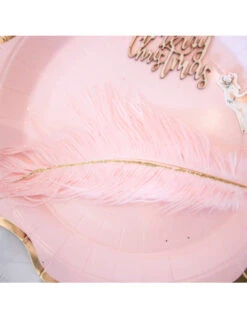 6 Plumes Roses Avec Paillettes Or 15 Cm -Déco Festive Soldes 6 plumes roses avec paillettes or 15 cm 2