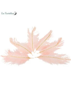 6 Plumes Roses Avec Paillettes Or 15 Cm