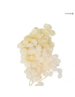 Mini Branches D'Hydrangea Ivoires Artificielles