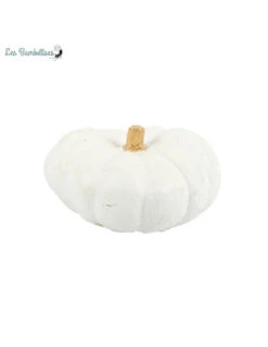Petite Citrouille Blanche Halloween 7X4Cm
